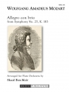 アレグロ・コン・ブリオ「交響曲・第25番」より（モーツァルト）（フルート九重奏）【Allegro con brio from Symphony No. 25】