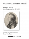 アレグロ・モルト「交響曲・第40番」より（モーツァルト）（フルート十重奏）【Allegro Molto from Symphony No. 40】