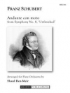 アンダンテ・コン・モート「交響曲第8番」より（フランツ・シューベルト）（フルート十重奏）【Andante con moto from Symphony No. 8】