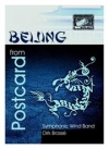 北京からの手紙（ディルク・ブロッセ）(スコアのみ）【Postcard from Beijing】