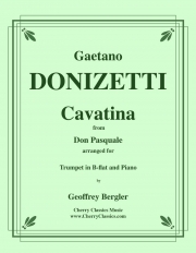カヴァティーナ「ドン・パスクァーレ」より (ガエターノ・ドニゼッティ)（トランペット+ピアノ）【Cavatina from Don Pasquale】