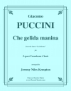冷たい手を「ラ・ボエーム」より（ジャコモ・プッチーニ）（トロンボーン五重奏）【Che gelida manina (from La Boheme)】