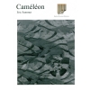 カメレオン（エリック・サミュ）（マリンバ）【Cameleon】
