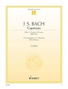 カプリッチョ・変ロ長調・BWV.992（バッハ） (ピアノ）【Capriccio B-flat Major BWV 992】