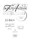 パルティータ・BWV.1004・ニ短調（バッハ） (アルトリコーダー)【 Partita BWV1004 in D Minor】