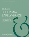 羊は静かに草をはみ（バッハ）【Sheep May Safely Graze】