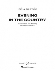 村の夕暮れ（ベラ・バルトーク）【Evening in the Country】
