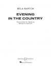 村の夕暮れ（ベラ・バルトーク）【Evening in the Country】