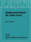 「ドン・ジョヴァンニ」の回想（フランツ・リスト）（ピアノ二重奏）【Réminiscences de Don Juan】
