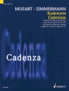 カデンツァ（ベルント・アロイス・ツィンマーマン）（フルート）【Cadenzas】