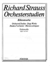 オーケストラの勉強・Vol.2（リヒャルト・シュトラウス）（チェロ）【Orchestral Studies Stage Works: Cello Vol. 2】