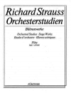 オーケストラの勉強・Vol.3（リヒャルト・シュトラウス）（フルート）【Orchestral Studies Stage Works: Flute Vol. 3】