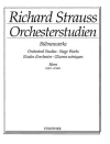 オーケストラの勉強・Vol.2（リヒャルト・シュトラウス）（ホルン）【Orchestral Studies Stage Works: Horn Vol. 2】
