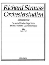 オーケストラの勉強・Vol.2（リヒャルト・シュトラウス）（ヴィオラ）【Orchestral Studies Stage Works: Viola Vol. 2】
