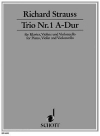 三重奏曲・No.1・イ長調（リヒャルト・シュトラウス）（弦楽二重奏+ピアノ）【Trio No. 1 in A Major】