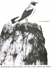 鳥のカタログ・Vol.2  (オリヴィエ・メシアン)（ピアノ）【Catalogue of Birds, for Piano Volume 2】
