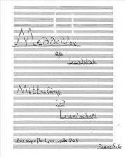 12 Meddelelse Og Landskab Op. 205（ニエル・ヴィゴ・ベンツォン）（ピアノ）