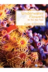 水中花（ゲイリー・ショッカー）(バスフルート二重奏)【Underwater Flowers】