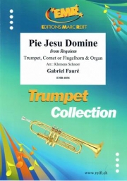 ピエ・イエス「レクイエム」より（ガブリエル・フォーレ）（トランペット+オルガン）【Pie Jesu Domine from Requiem】