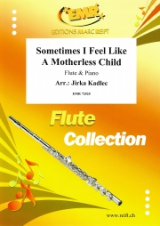 時には母のない子のように（フルート+ピアノ）【Sometimes I Feel Like A Motherless Child】