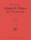 アダージョ＆アレグロ（ジョゼフ・ボダン・ド・ボワモルティエ）（木管五重奏）【Adagio & Allegro】