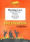 バーニング・ラヴ（エルビス・プレスリー）【Burning Love】