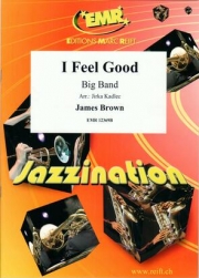 アイ・フィール・グッド（ジェームス・ブラウン）【I Feel Good】