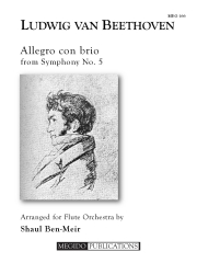 アレグロ・コン・ブリオ「交響曲第5番」より（ベートーヴェン） (フルート十一重奏)【Allegro con brio from Symphony No. 5】