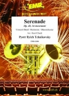 セレナーデ・Op.48・第一楽章（ピョートル・チャイコフスキー）【Serenade Op. 48, 1st movement】