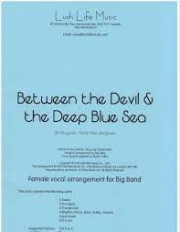 ビトウィーン・ザ・デビル・アンド・ザ・ディープ・ブルー・シー（エラ・フィッツジェラルド）【Between the Devil and the Deep Blue Sea】