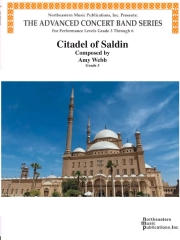 サルディンの城塞（エイミー・ウェッブ）【Citadel of Saldin】
