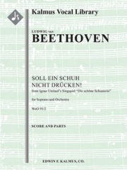 コンサート・アリア・WoO 91/2（ベートーヴェン）【Concert Aria: Soll ein Schuh nicht druecken!, WoO 91/2】