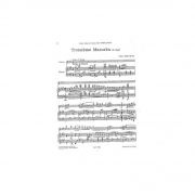 マズルカ・No.3・Op.24（フランツ・ドルドラ）（ヴァイオリン+ピアノ）【Troisieme Mazurka For Violin And Piano Op.24】