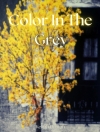 カラー・イン・ザ・グレイ（ケリジャ・ダントン）【Color In The Grey】