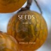 シーズ（ダニエル・フィッシャー）【Seeds】