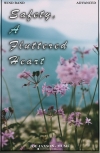 Safety, A Fluttered Heart（ジョー・ジャクソン）
