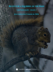 雨の中のリスのためのブルース（ジェス・ターナー）【Blues For A Squirrel In The Rain】