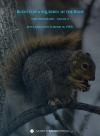 雨の中のリスのためのブルース（ジェス・ターナー）【Blues For A Squirrel In The Rain】