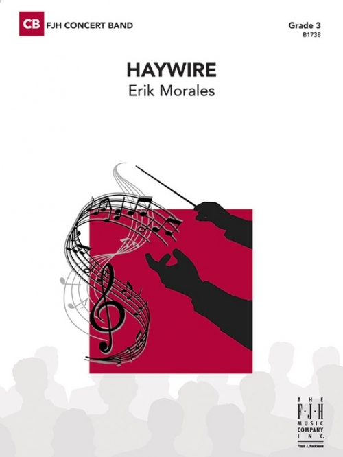 ヘイワイヤー（エリック・モラレス）（スコアのみ）【Haywire】