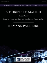 マーラーへ捧ぐ（ヘルマン・パルフーバー）【A Tribute to Mahler】
