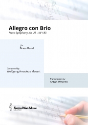 アレグロ・コン・ブリオ「交響曲・第25番」より（モーツァルト）【Allegro con Brio From Symphony No. 25 - KV 183】