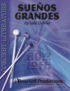 偉大なる夢（ラロ・ダビラ）（打楽器十四重奏）【Sueños Grandes】