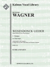夢「ヴェーゼンドンク歌曲集」より（リヒャルト・ワーグナー)【Wesendonck Lieder: No. 5, Traume】