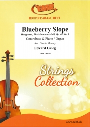 ブルーベリーの斜面（エドヴァルド・グリーグ）（ストリングベース+ピアノ）【Blueberry Slope】