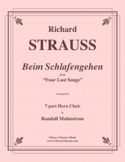 眠りにつくとき「4つの最後の歌」より（リヒャルト・シュトラウス)（金管七重奏）【Beim Schlafengehen from Four Last Songs】